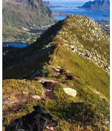 Koselig, Eldre Stort Hus Meget Sentralt I Henningsvær